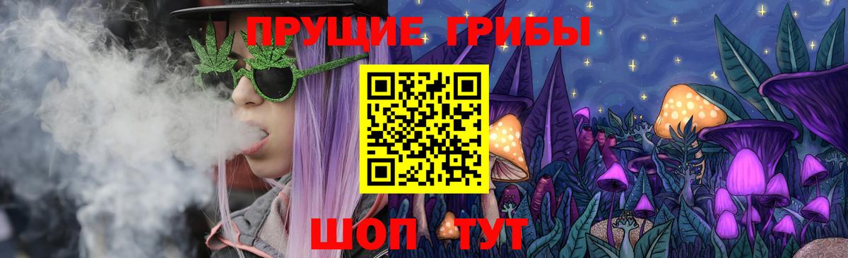 Галлюциногенные грибы Cubensis  Вход с VPN  Находка 